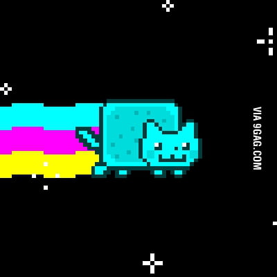 Cyan Cat. - 9gag