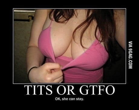 Tits Or Gtfo Gag