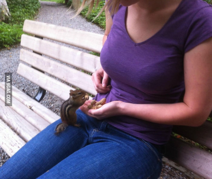 Get some peanuts