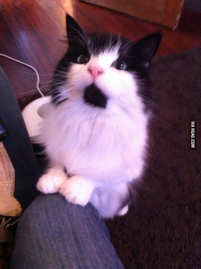 Whenever I'm eating fish...