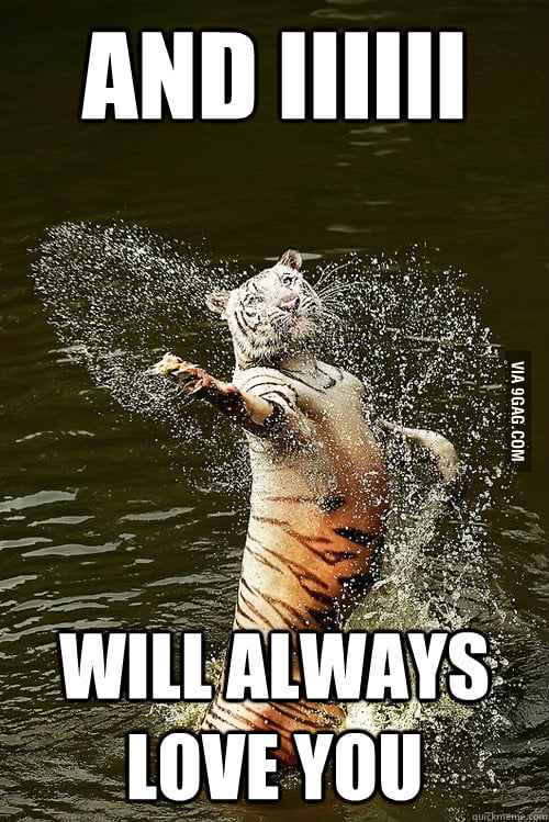Romantic Water Tiger