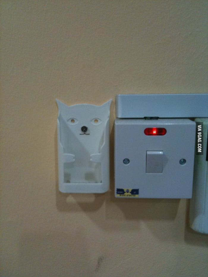 Happy Cat is Happy