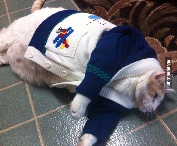Bring me more eggnog.