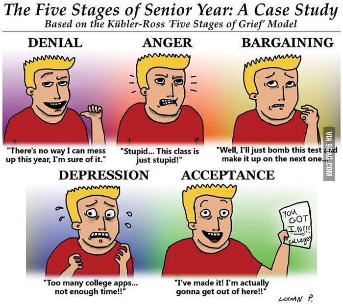 Decision support system case study