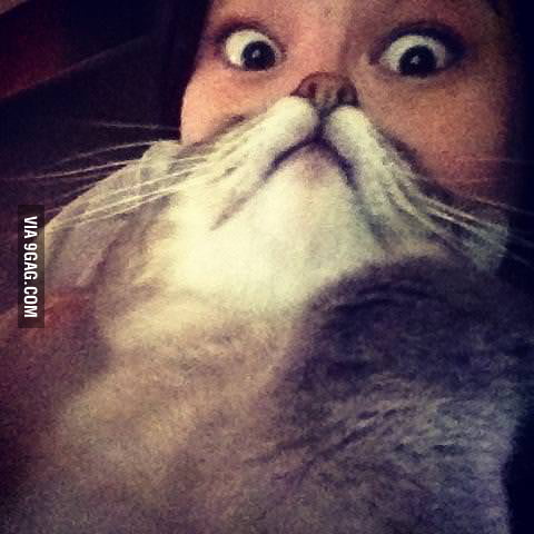 A girl and her cat