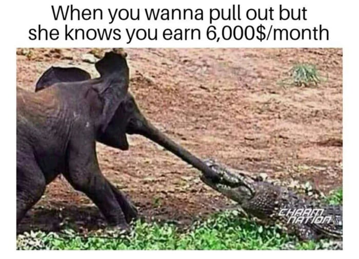 Weak Ass Pull Out Game GAG