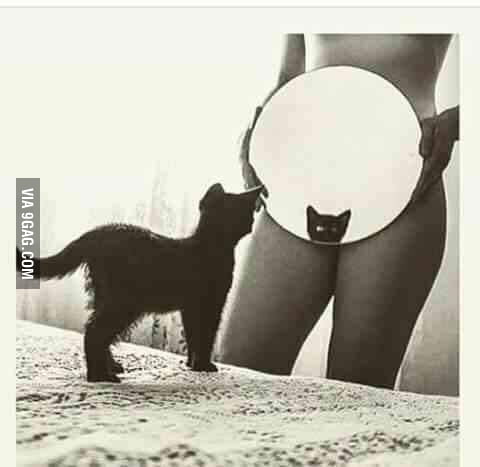 Naked Pussy NSFW 9GAG