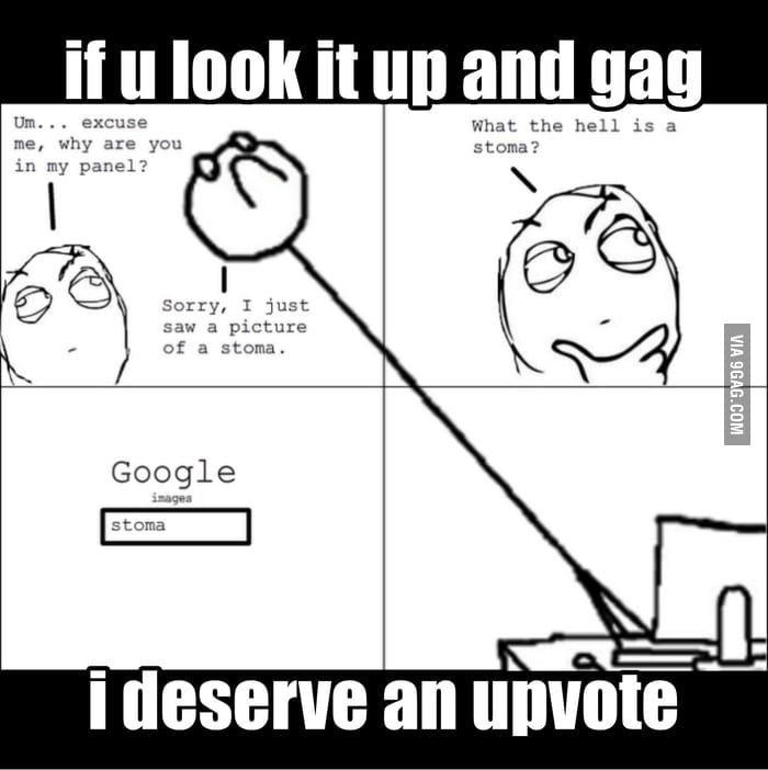 Do It You Pussy 9GAG