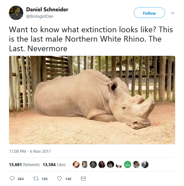 White extinction