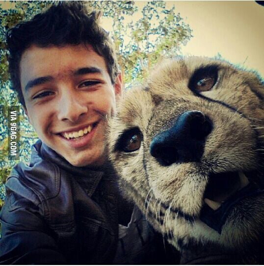 To the guy who posted a selfie with a lion, Cheetah selfie - a9M5GGK_700b