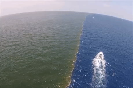 When Two Oceans Meet, But Do Not Mix! - 9gag