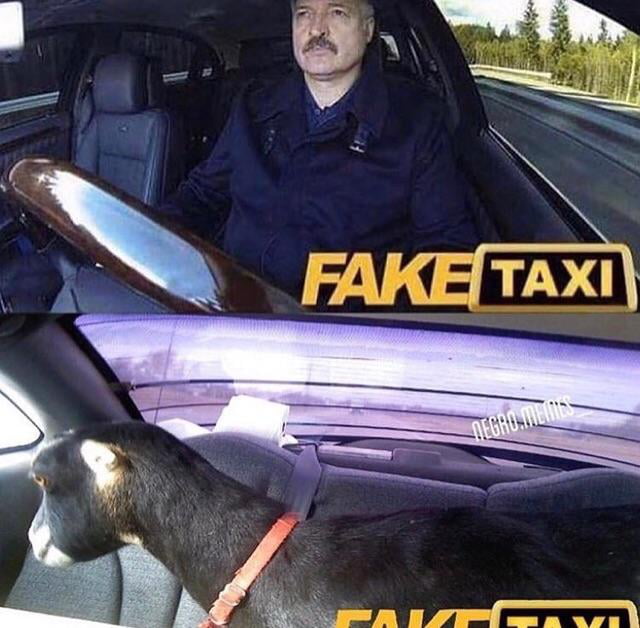 Fake taxi oil