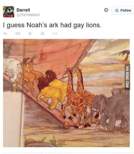 Gay Lions On The Ark 9GAG