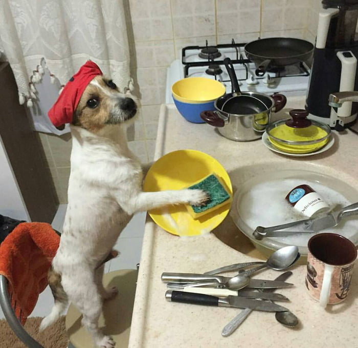 Хозяин трахает черную прислугу на кухне пока она моет посуду