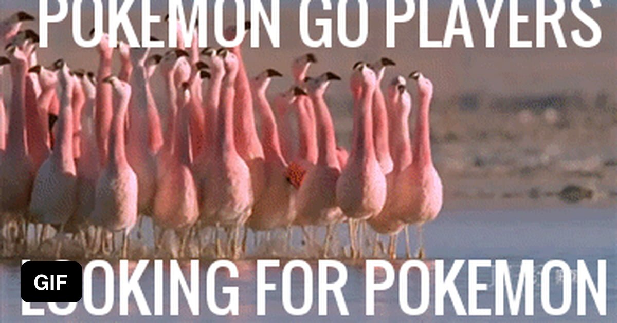 Приложение Для Вибратора Фламинго