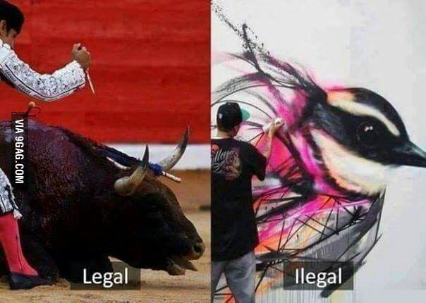 🖼