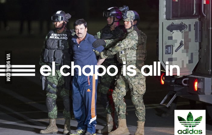 nike air max torche - El Chapo - Best testimonial ever. Adidas is all in. - 9GAG