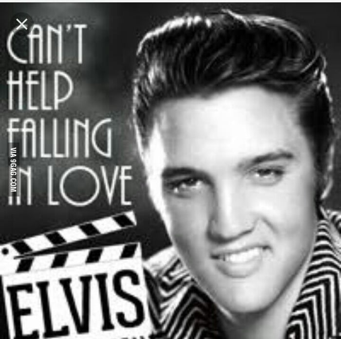 Download Looking For Elvis Lyrics Peace