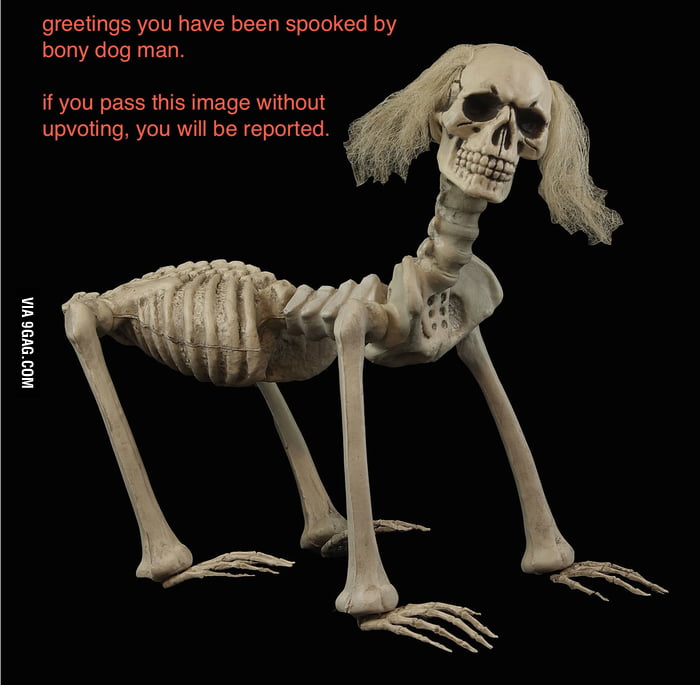 jpg 固定链接 embed 保存 上级 赠送黄金 [–]nebrestohue hue hue&