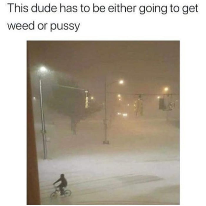 Weed Or Pussy 9GAG