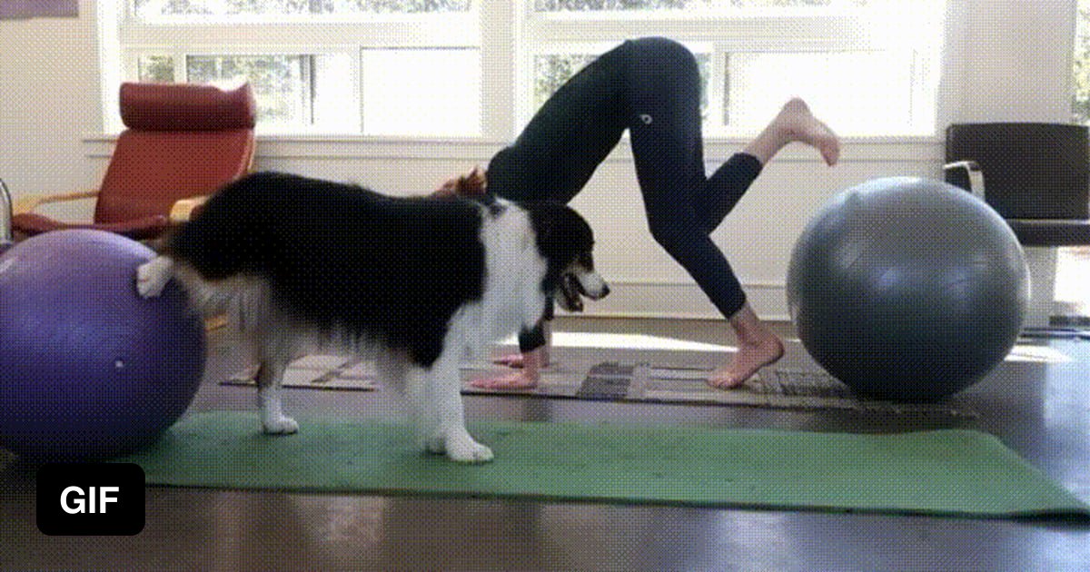 Giving humping yoga spandex