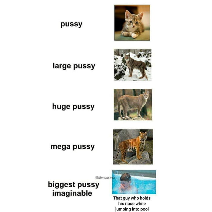 Pussy 9GAG