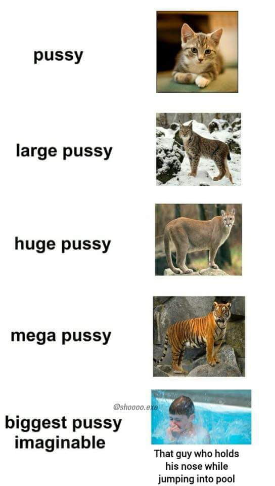 Levels Of Pussy 9GAG