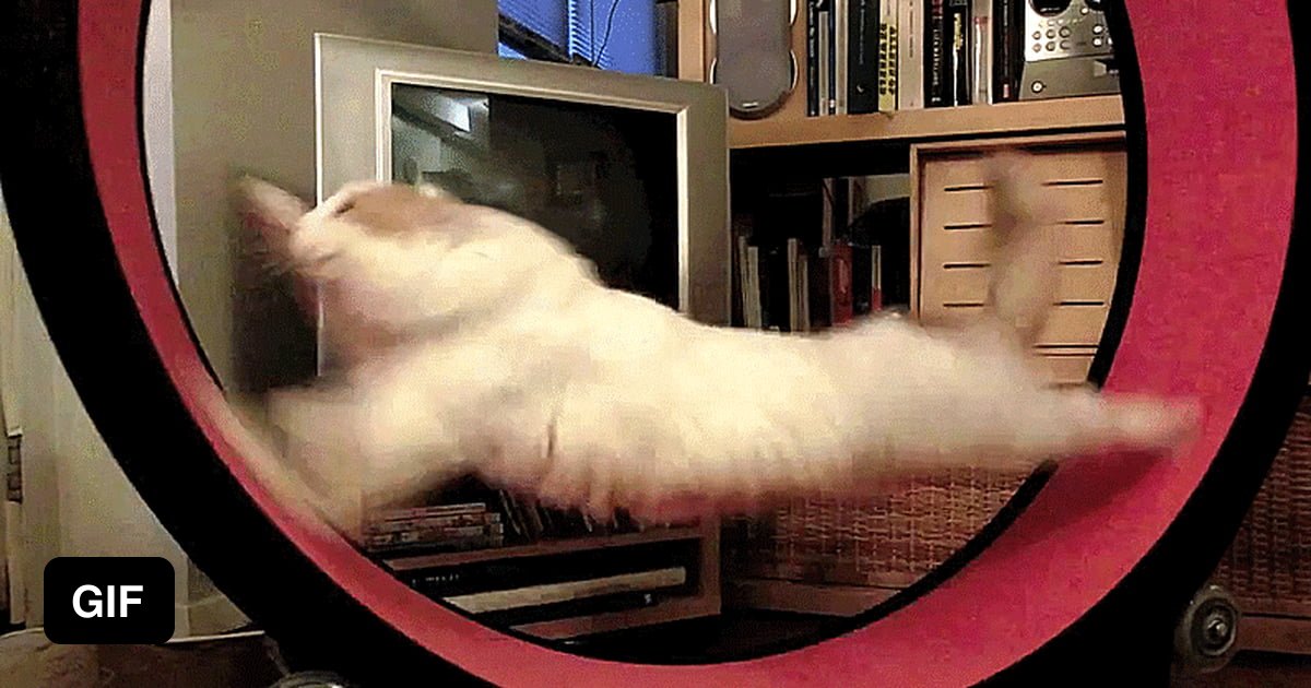 Вращающиеся Движущиеся Фаллоимитаторы