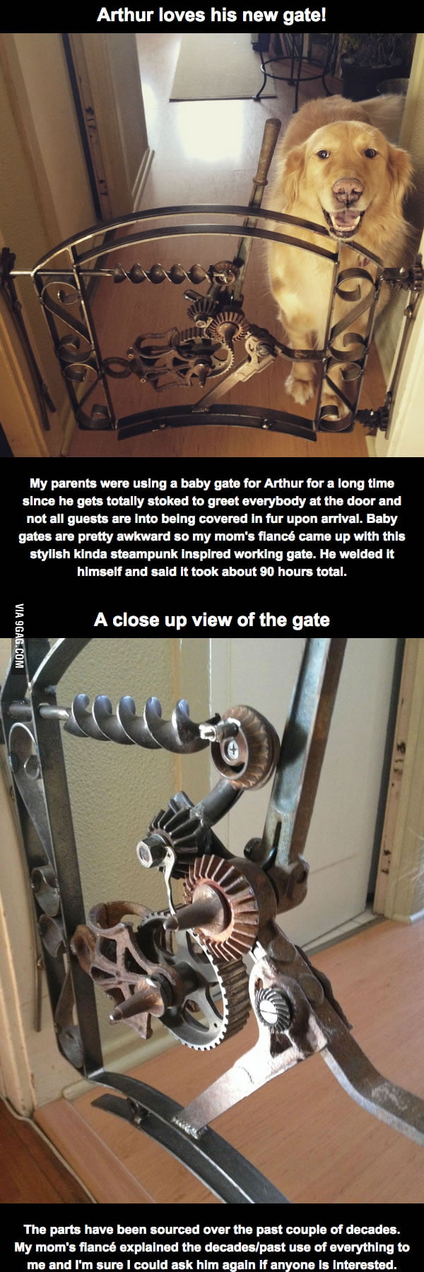 Designed and built this custom welded gate for their golden retriever.