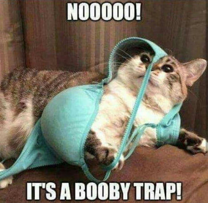 Teen trap eats cum pic
