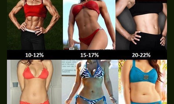 body-fat-percent-comparison-among-women-let-s-not-talk-about-what-you