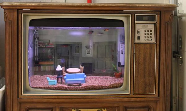 This Guy Built A Fish Tank Modeled Off Of Seinfeld's Apartment - Inside ...