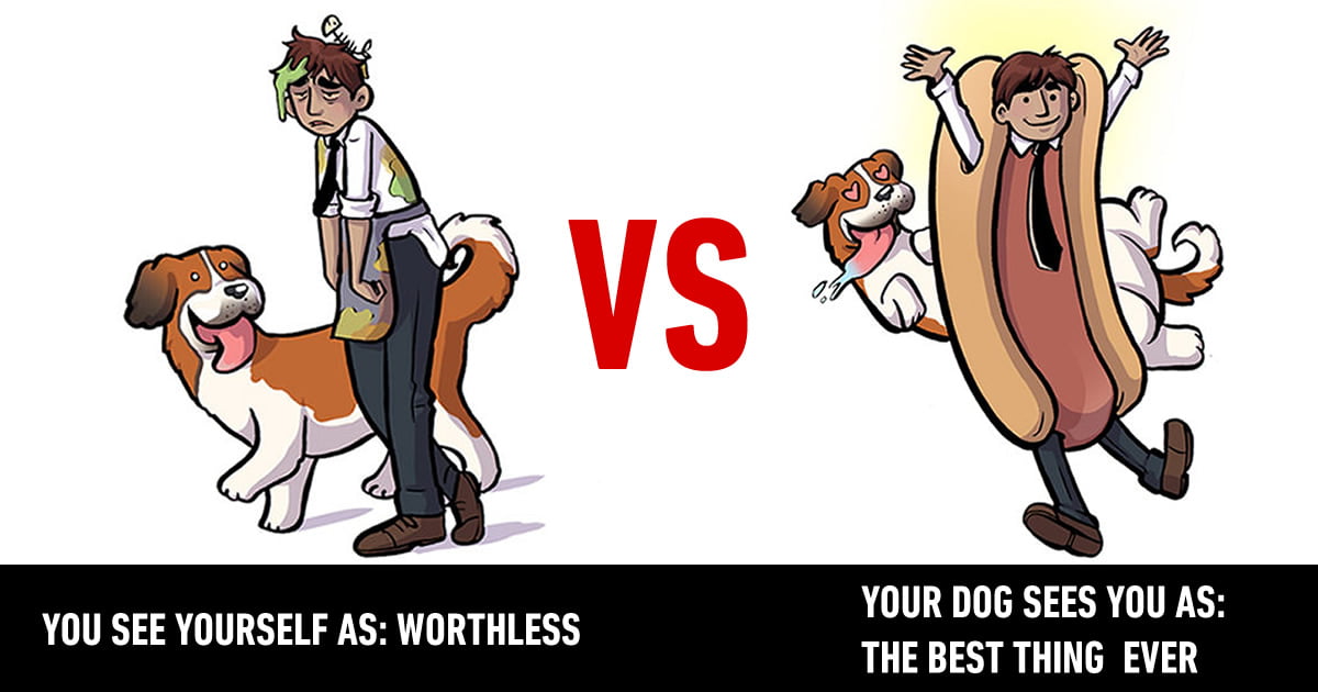 Your Dog Thinks You re Perfect Just The Way You Are By Kelly Angel 9GAG