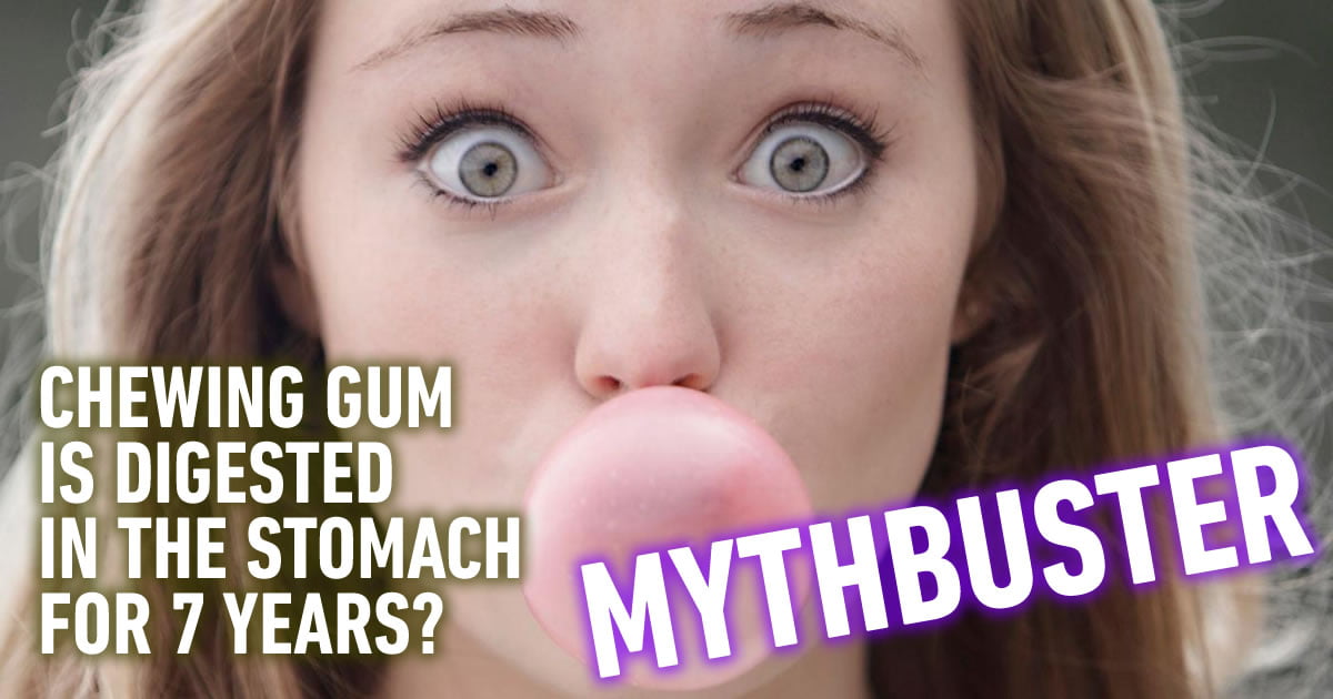 Mythbuster Challenge: 13 Statements, Myth or Truth? Here are the ...