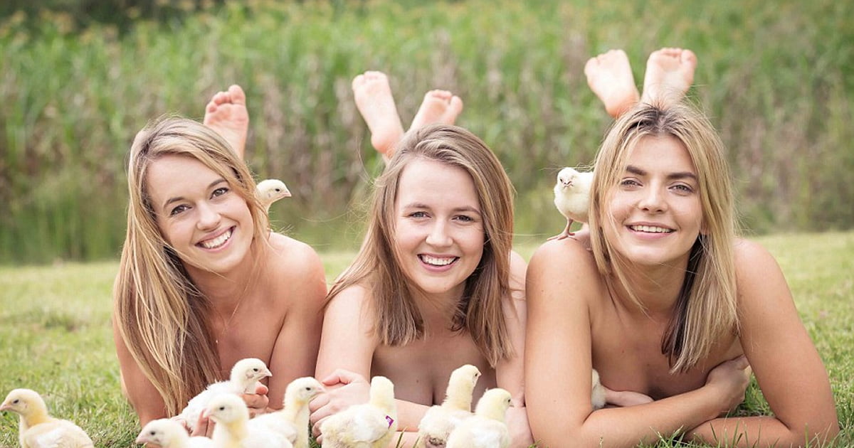 65 Naked Veterinary Students Pose For Charity In A Sexy Calendar - 9GAG.