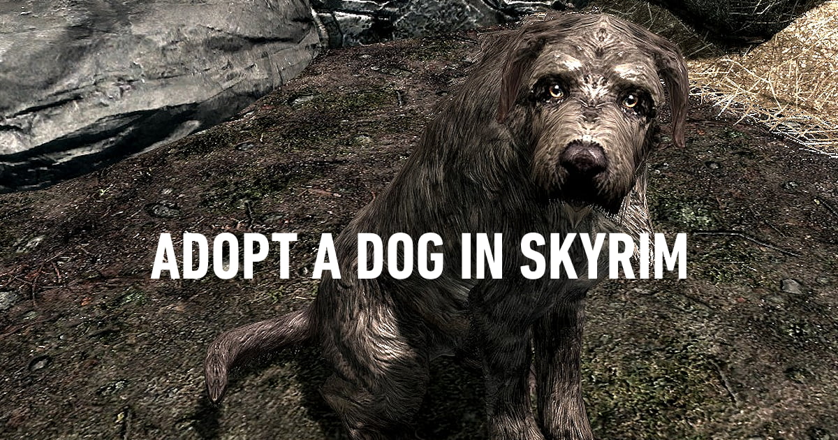 can you adopt dogs in skyrim