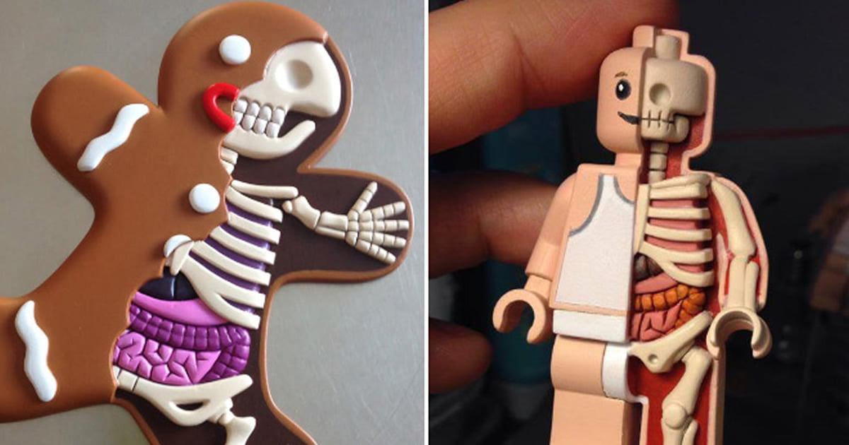 Toy Anatomy What’s Inside Our Toys? 9GAG