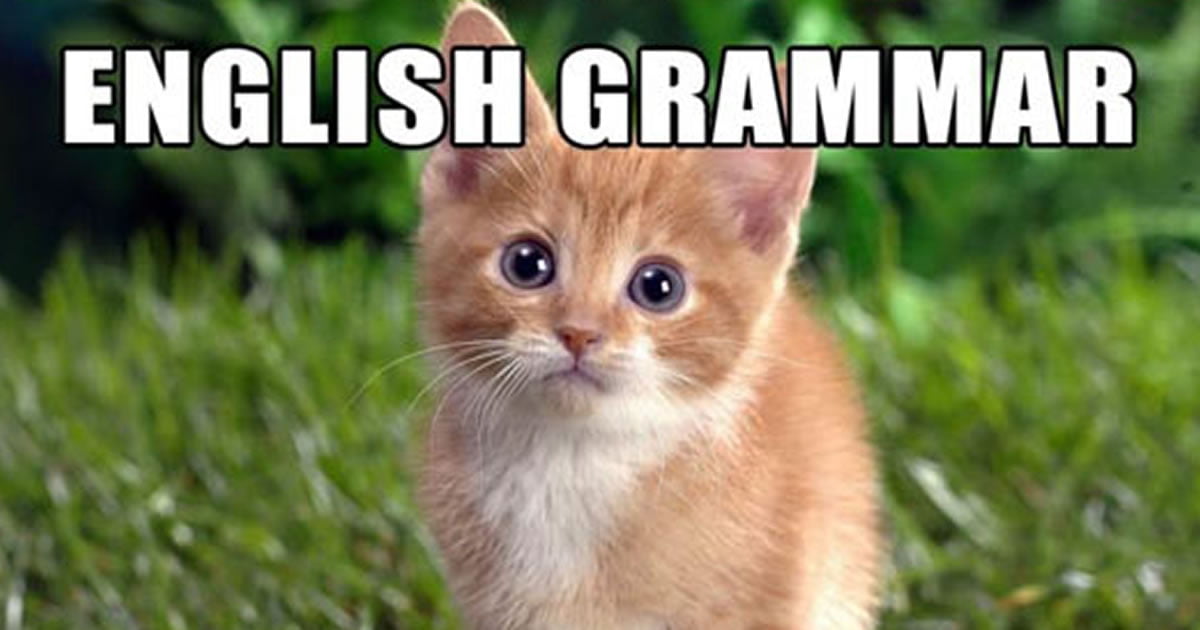 Funny grammar. English Grammar memes. Мемы грамматика. English Grammar meme. Мем на английском.