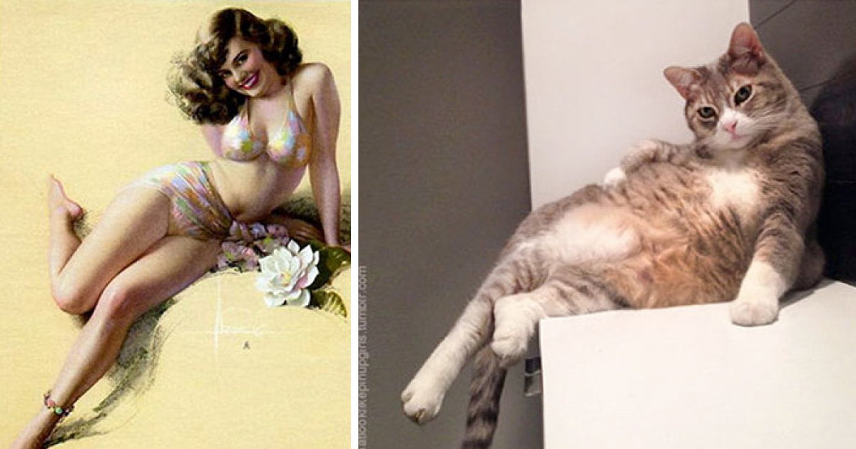 29 Cats Posing Like Pin Up Girls - Animals.