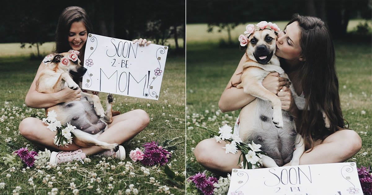 She got a dog. Pregnant by Dog. Dog pregnancies Photoshoot. Pregnant by my Dog. Dog BEASTEARY pregnant.