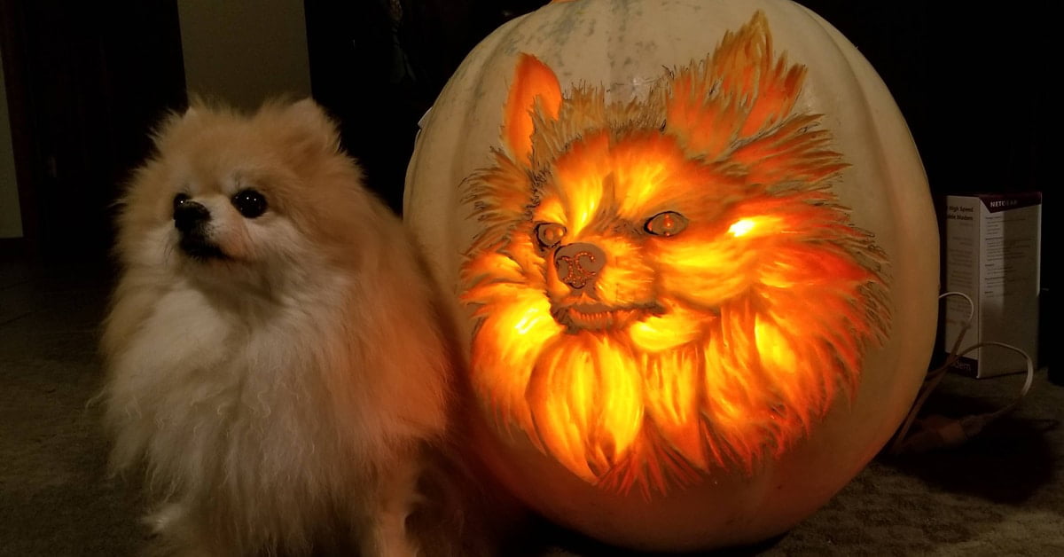 Veterinarian Carves Ordinary Pumpkin into a Lifelike “Dog O’ Lantern ...