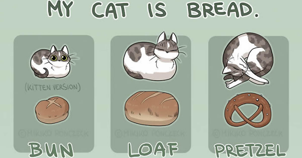 6 Cute Illustrations Prove That Cats Are More Bread Than You'd Think -...