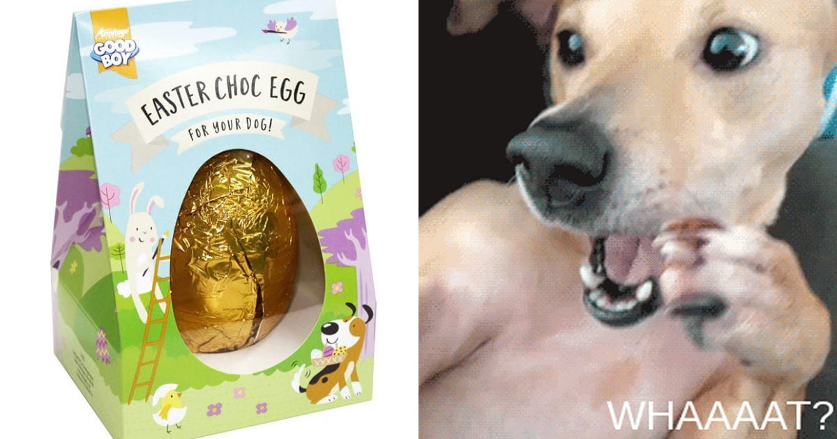 B&M Is Selling Easter Eggs For Dogs