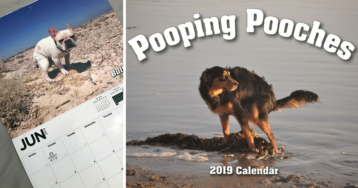 This Is Pooping Pooches Calendar Is Perfect For Your Shitty Friends 9GAG