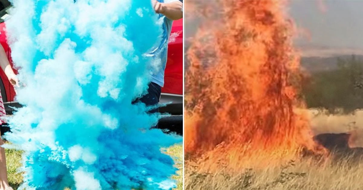 Video Shows How A Gender Reveal Party Sparked A Massive Wildfire 9gag