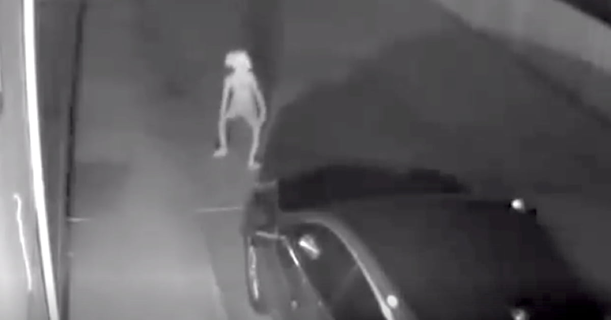 Woman Spots Mysterious 'Dobby' Like Figure On Security Camera - 9GAG