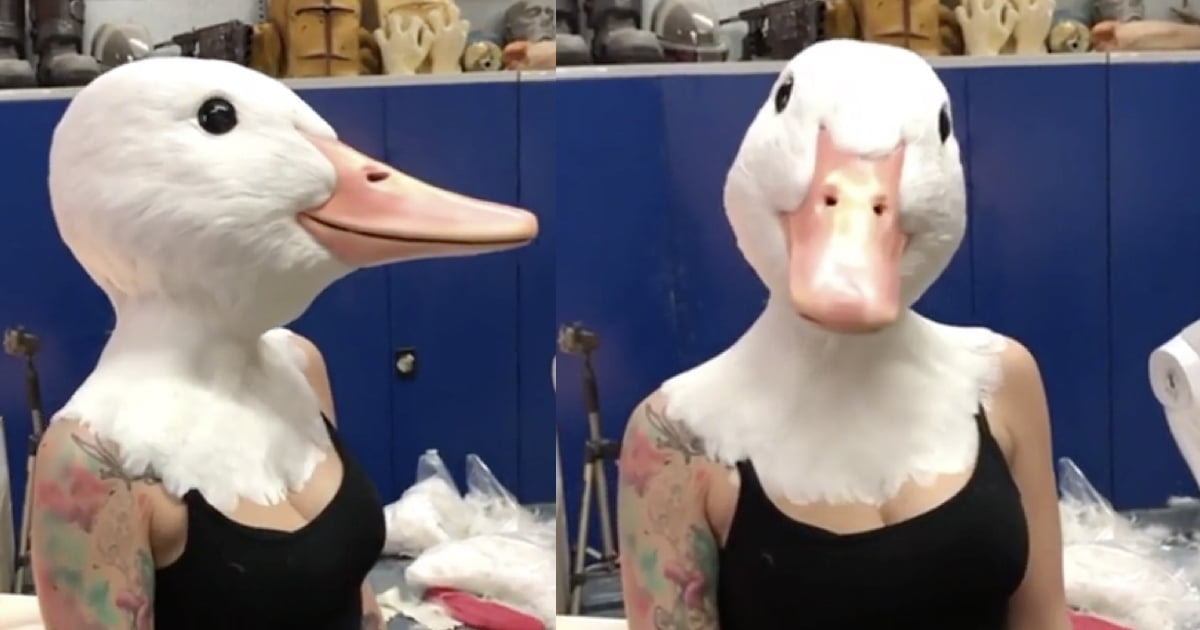Look at this strangely terrifying goose mask - 9GAG