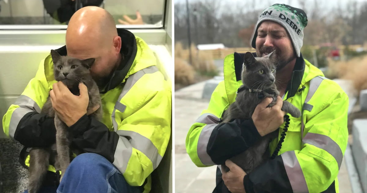 Trucker Breaks into Tears When He Reunites With His Cat After Months of ...