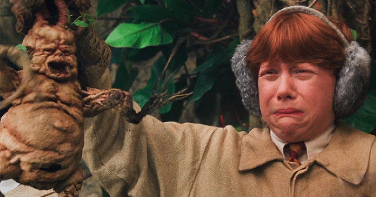 Plants Emit An Ultrasonic Scream When Their Stems Are Cut, Study Finds