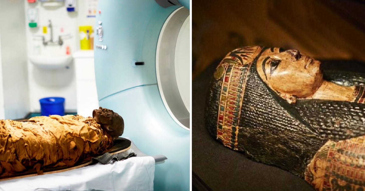 Sound Of Year Old Egyptian Mummy Recreated By Scientists Gag